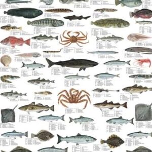 Arctic Fish and Shellfish Poster