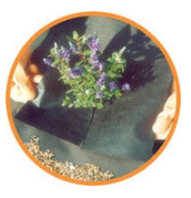 Weedban Landscape Fabric 70